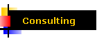 Consulting